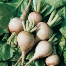 White Albino Beet 250 Seeds Fresh