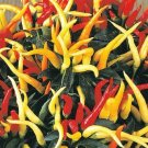 Medusa Ornamental Pepper 15 Seeds Fresh