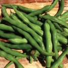 250pcs Fresh Seeds Jade Green Bean #TCHWB03