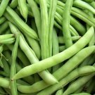 100pcs Fresh Seeds Mountain Half Runner Bean #TCHW03