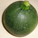 40pcs Fresh Seeds Round Zucchini Squash #TCHWB03