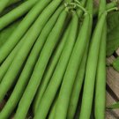 100pcs Fresh Seeds Top Crop Green Bean #TCHWB03