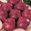 100pcs Fresh Seeds Red Burgundy Onion #TCHWB03