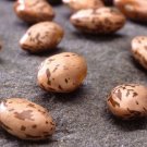 100pcs Fresh Seeds Pinto Soup Beans #TCHWB03