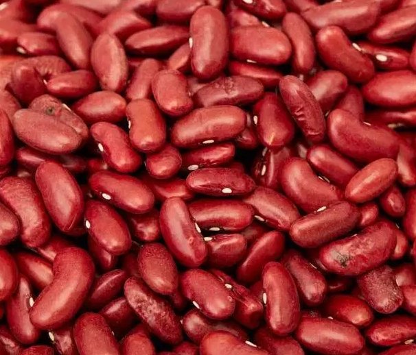 100pcs Fresh Seeds Small Red Soup Beans Fresh Seed #TCHWB03