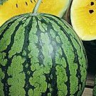 25pcs Fresh Seeds Yellow Gem Sweet Watermelon #TCHWB03