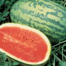 25pcs Fresh Seeds Carolina Cross Watermelon #TCHWB03