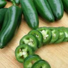 100pcs Fresh Seeds Jalapeno Pepper #TCHWB03