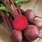 300pcs Fresh Seeds Red Ace Beet #TCHWB03
