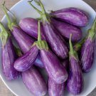 40pcs Fresh Seeds Fairytale Eggplant #TCHWB03