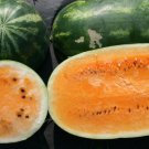 25pcs Fresh Seeds Tendersweet Orange Watermelon #TCHWB03