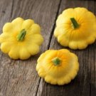 25pcs Fresh Seeds Yellow Bush Scallop Squash #TCHWB03
