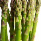 100pcs Fresh Seeds Mary Washington Asparagus #TCHWB03