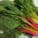 500pcs Fresh Seeds 4 Star Swiss Char #TCHWB03