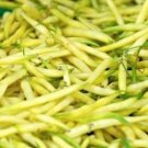 100pcs Fresh Seeds Cherokee Wax Bean #TCHWB03