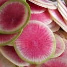 250pcs Fresh SeedsWatermelon Radish #TCHWB03