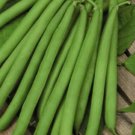 100pcs Fresh Seeds Slenderette Green Bean #TCHWB03