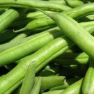 100pcs Fresh Seeds Spartan Half Runner #TCHWB03