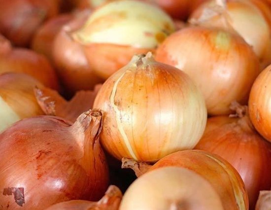 100pcs Fresh Seeds Candy Onion #TCHWB03