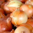 100pcs Fresh Seeds Candy Onion #TCHWB03