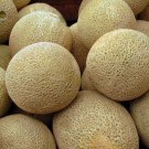 50pcs Fresh Seeds Honey Rock Canteloupe #TCHWB03