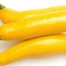 25pcs Fresh Seeds Golden Delight Summer Squash #TCHWB03