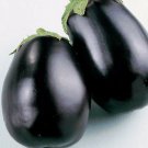 100pcs Fresh Seeds Eggplant Black Beauty #TCHWB03