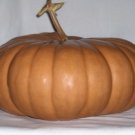 40pcs Fresh Seeds Pumpkin Long Island Cheese #TCHWB03