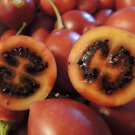30 Solanum betaceum Red Tamarillo, Tree Tomato seeds plant, ship from AUS AUUN6TR