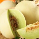 Rockmelon 'Honeydew' Seeds - Great For Your Home Garden - 15 Seeds