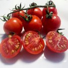 Tomato Tommy Toe Red Seeds - Great For Your Home Garden - 50 Seeds Vegetable Fruit