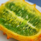 Cucumber African Horned Seeds - Great For Your Home Garden - 25 Seeds Vegetable Fruit