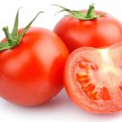 Tomato Urbana (Dwarf) Seeds - Great For Your Home Garden - 25 Seeds Vegetable Fruit