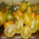 Tomato Yellow Pear Seeds - Great For Your Home Garden - 50 Seeds Vegetable Fruit