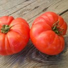 Rouge De Marmande Tomato Seeds - Great For Your Home Garden - 50 Seeds Vegetable Fruit