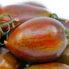 Atomic Grape Kumato Seeds - Great For Your Home Garden - 10 Seeds Fruit
