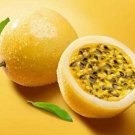 Golden Yellow Passionfruit Seeds - Great For Your Home Garden - 10 Seeds Fruit