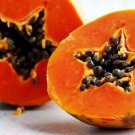 Red Paw Paw Papaya Seeds - Great For Your Home Garden - 100 Seeds Fruit