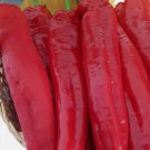 Giant Palermo Chilli Pepper Seeds - Great For Your Home Garden - 20 Seeds Fruit