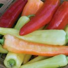 Chilli Banana Seeds - Great For Your Home Garden - 100 Seeds Fruit