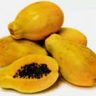 Hawaiian Yellow Papaya Seeds - Great For Your Home Garden - 10 Seeds Fruit