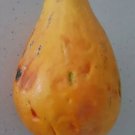 Mango Dwarf Papaya Seeds - Great For Your Home Garden - 30 Seeds Fruit