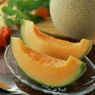 Rock Melon Seeds - Great For Your Home Garden - 50 Seeds Fruit