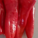 Chilli Banana Seeds - Great For Your Home Garden - 60 Seeds Fruit