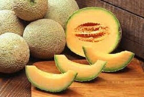 ROCKMELON Seeds Heirloom Spring Summer Vegetable Seeds - Garden Vegetable Plant - 5 Seeds