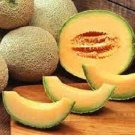 ROCKMELON Seeds Heirloom Spring Summer Vegetable Seeds - Garden Vegetable Plant - 5 Seeds