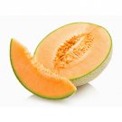 Melon Hales Best (Cucumis melo) Seeds - Garden Fruit Plant - 5 Seeds