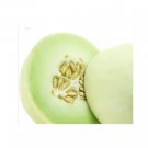 Melon - Honeydew (Cucumis melo) Seeds - Garden Fruit Plant - 25 Seeds