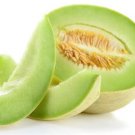 Melon Seeds "Honeydew Green Flesh" Seeds - Garden Fruit Plant - 20 Seeds