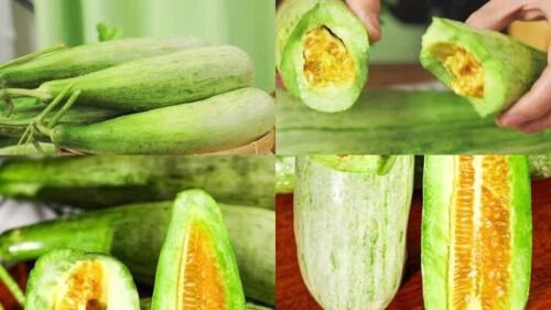 Sweet Melon Vegetable Seeds - Garden Fruit Plant - 15 Seeds